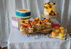 Top 7 Creative Themes for Birthday Parties in Bangalore