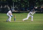 Cricket and AI: How Technology Is Changing the Game